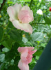 DSC01796