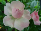 DSC01799