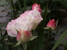 DSC01374