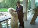 Photo0069