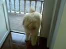 Beethoven
