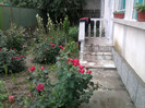 gradina cu flori
