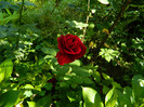 DSCN6583
