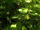 DSCN6728
