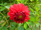 DSCN6755