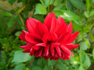 DSCN6756