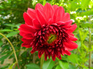 DSCN6757