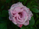 DSCN6758