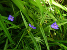 DSCN6784