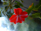 DSCN6798