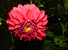 DSCN6804
