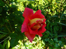 DSCN6818