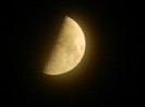 DSCN6895