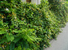 DSCN6922