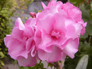 P1170538