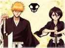 Bleach (18)