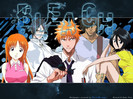 Bleach (62)