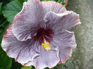 P1140097