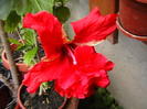 Picture 001
