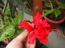 Picture 002