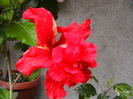 Picture 006