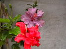Picture 007