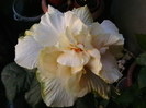 Picture 034