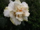 Picture 045