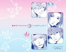 Brothers.Conflict.600.1128684