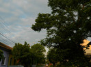 DSCN6929