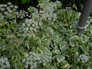 DSCN6948