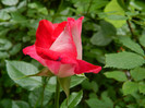 DSCN7028