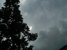 DSCN7037
