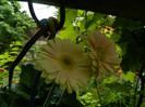 DSCN7047