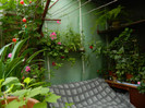 DSCN7051