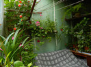 DSCN7052