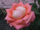 DSC01346
