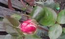 P290512_13.05_[03]
