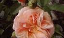 P290512_13.03_[05]