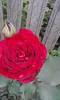 P290512_13.04_[02]