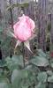 P290512_13.05_[01]
