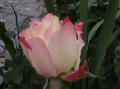 DSC01389