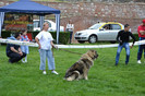 Copy of DSC_6404