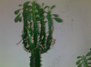 26052012350