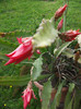 DSCF1461