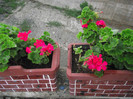 DSCF7347