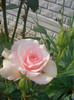 CIMG5258