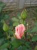 CIMG5240