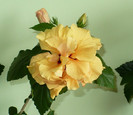 P1390439