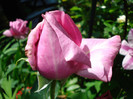 DSC02059